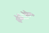 Load image into Gallery viewer, Scraper Cleaner for CPC 2628055 2SC Sheet 25 Pcs/Pack HE-22804 / HE-91-008-033_Printers_Parts_&_Equipment_USA