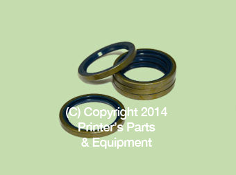 Gasket (00.550.0256)